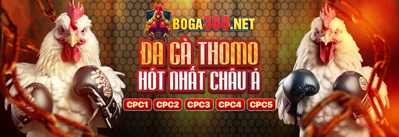 Chương Trình VIP Awin68