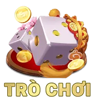 Quản Lý Vốn